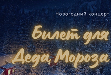 «Билет для Деда Мороза»