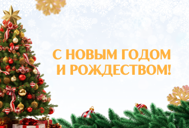 Поздравление ректора М.Г. Родионова с Новым годом