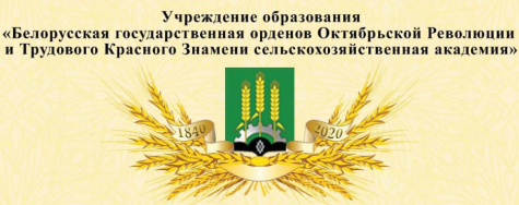 Студенты СИБИТ стали призерами II МЕЖДУНАРОДНОГО МОЛОДЕЖНОГО КОНКУРСА РЕКЛАМЫ «ЗОЛОТОЙ КОЛОС» («GOLDEN WHEATS») (Республика Беларусь)